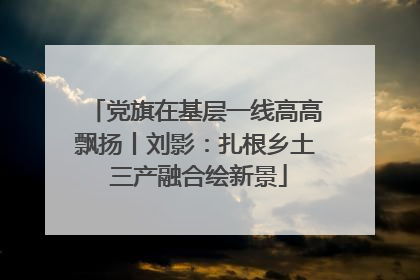 党旗在基层一线高高飘扬丨刘影：扎根乡土 三产融合绘新景