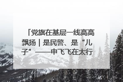 党旗在基层一线高高飘扬｜是民警、是“儿子”——申飞飞在太行山中的一线坚守