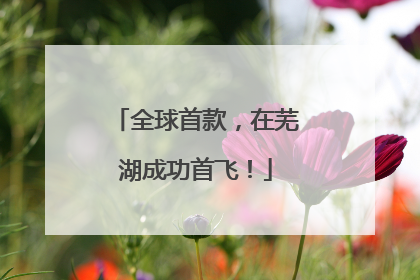 全球首款，在芜湖成功首飞！