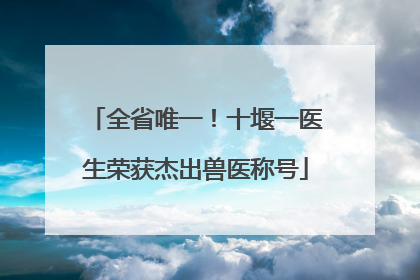 全省唯一！十堰一医生荣获杰出兽医称号
