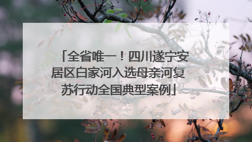 全省唯一！四川遂宁安居区白家河入选母亲河复苏行动全国典型案例