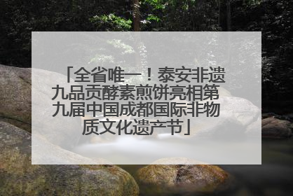 全省唯一！泰安非遗九品贡酵素煎饼亮相第九届中国成都国际非物质文化遗产节