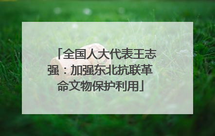 全国人大代表王志强：加强东北抗联革命文物保护利用
