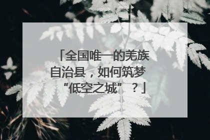 全国唯一的羌族自治县，如何筑梦“低空之城”？