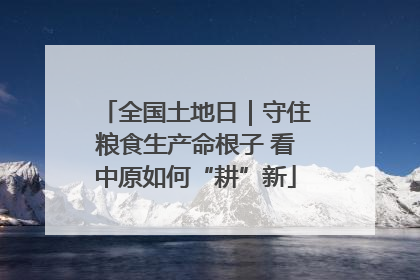 全国土地日｜守住粮食生产命根子 看中原如何“耕”新