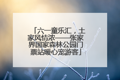 六一童乐汇，土家风情浓——张家界国家森林公园门票站暖心宠游客