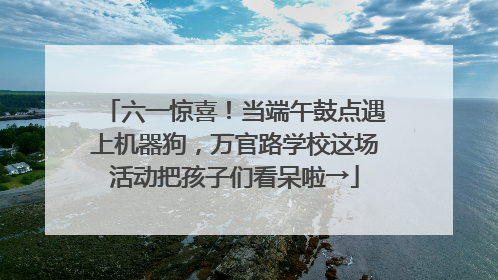 六一惊喜！当端午鼓点遇上机器狗，万官路学校这场活动把孩子们看呆啦→