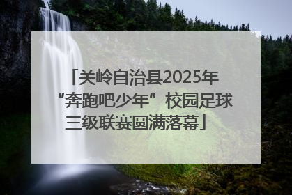 关岭自治县2025年“奔跑吧少年”校园足球三级联赛圆满落幕