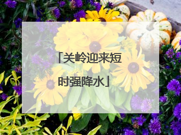 关岭迎来短时强降水