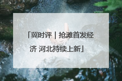 冀时评｜抢滩首发经济 河北持续上新