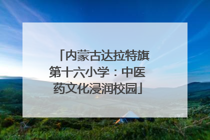 内蒙古达拉特旗第十六小学：中医药文化浸润校园
