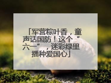 军营粽叶香，童声话国防！这个“六一”，迷彩绿里播种爱国心
