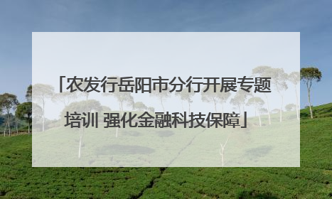 农发行岳阳市分行开展专题培训 强化金融科技保障
