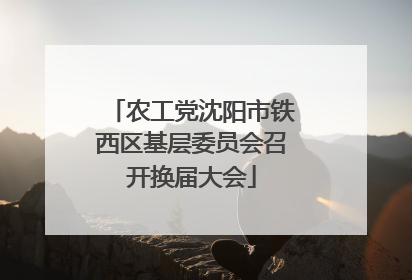 农工党沈阳市铁西区基层委员会召开换届大会