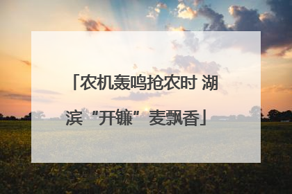 农机轰鸣抢农时 湖滨“开镰”麦飘香