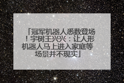 冠军机器人悉数登场！宇树王兴兴：让人形机器人马上进入家庭等场景并不现实
