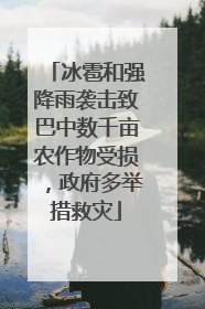 冰雹和强降雨袭击致巴中数千亩农作物受损，政府多举措救灾