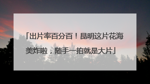 出片率百分百！昆明这片花海美炸啦，随手一拍就是大片