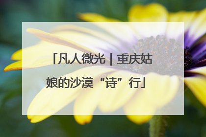 凡人微光｜重庆姑娘的沙漠“诗”行