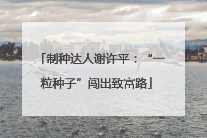 制种达人谢许平：“一粒种子”闯出致富路