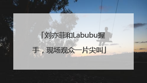 刘亦菲和Labubu握手，现场观众一片尖叫