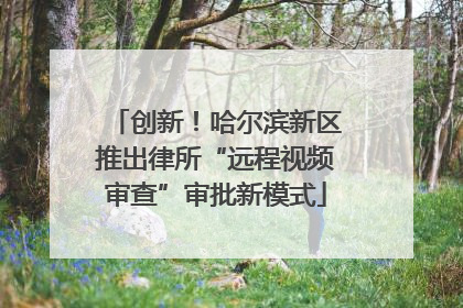 创新！哈尔滨新区推出律所“远程视频审查”审批新模式