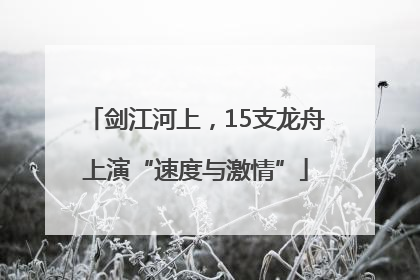 剑江河上，15支龙舟上演“速度与激情”