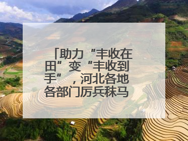 助力“丰收在田”变“丰收到手”，河北各地各部门厉兵秣马迎战“三夏”