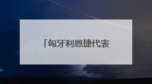 匈牙利恩捷代表受邀出席海南自贸港匈牙利推介会