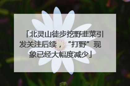 北灵山徒步挖野韭菜引发关注后续，“打野”现象已经大幅度减少