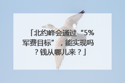 北约峰会通过“5%军费目标”，能实现吗？钱从哪儿来？
