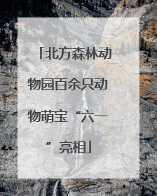 北方森林动物园百余只动物萌宝“六一”亮相