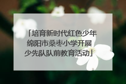 培育新时代红色少年 绵阳市桑枣小学开展少先队队前教育活动