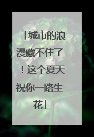 城市的浪漫藏不住了！这个夏天祝你一路生花