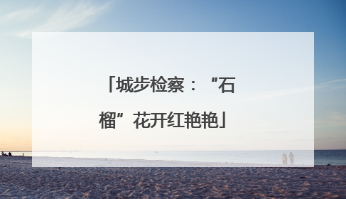 城步检察：“石榴”花开红艳艳