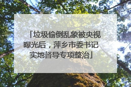 垃圾偷倒乱象被央视曝光后，萍乡市委书记实地督导专项整治