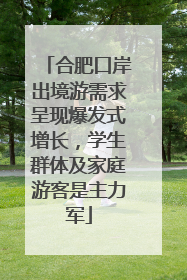 合肥口岸出境游需求呈现爆发式增长，学生群体及家庭游客是主力军