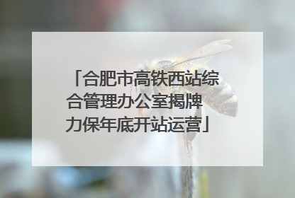 合肥市高铁西站综合管理办公室揭牌 力保年底开站运营