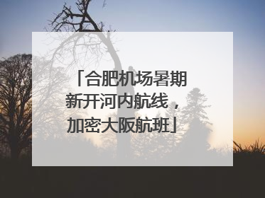 合肥机场暑期新开河内航线，加密大阪航班