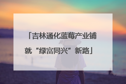 吉林通化蓝莓产业铺就“绿富同兴”新路
