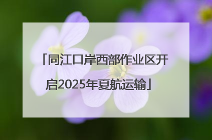 同江口岸西部作业区开启2025年夏航运输
