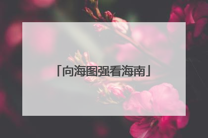 向海图强看海南
