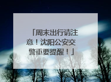 周末出行请注意！沈阳公安交警重要提醒！
