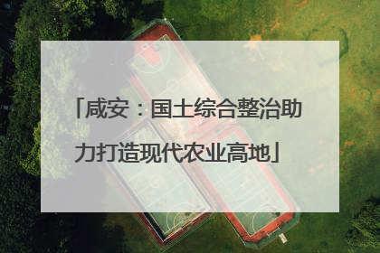 咸安：国土综合整治助力打造现代农业高地