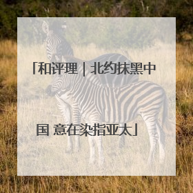 和评理｜北约抹黑中国 意在染指亚太