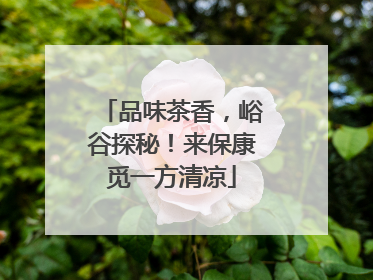 品味茶香，峪谷探秘！来保康觅一方清凉
