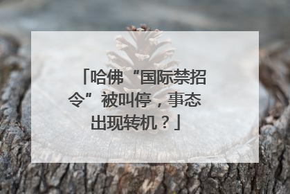 哈佛“国际禁招令”被叫停，事态出现转机？