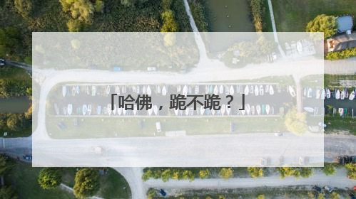 哈佛，跪不跪？