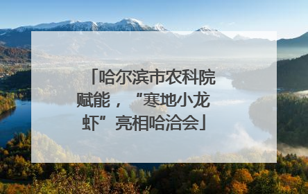 哈尔滨市农科院赋能，“寒地小龙虾”亮相哈洽会