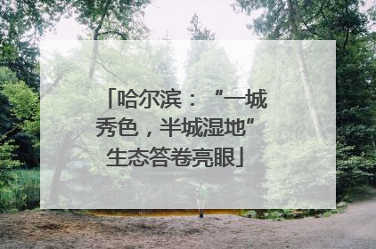 哈尔滨：“一城秀色，半城湿地”生态答卷亮眼